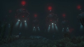 Wo sind die Wale und Delphine?