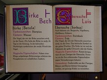 Lesemuffel sind in Rhiannon Fehl am Platz.